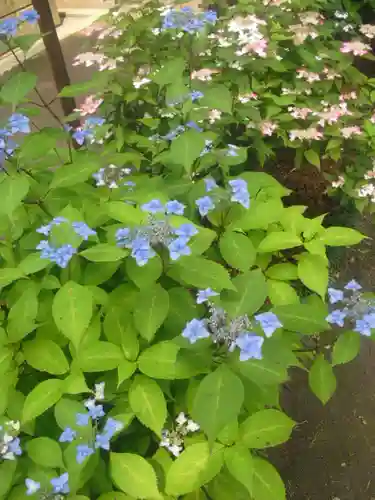 御霊神社の自然
