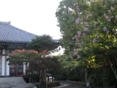 長谷寺のその他建物