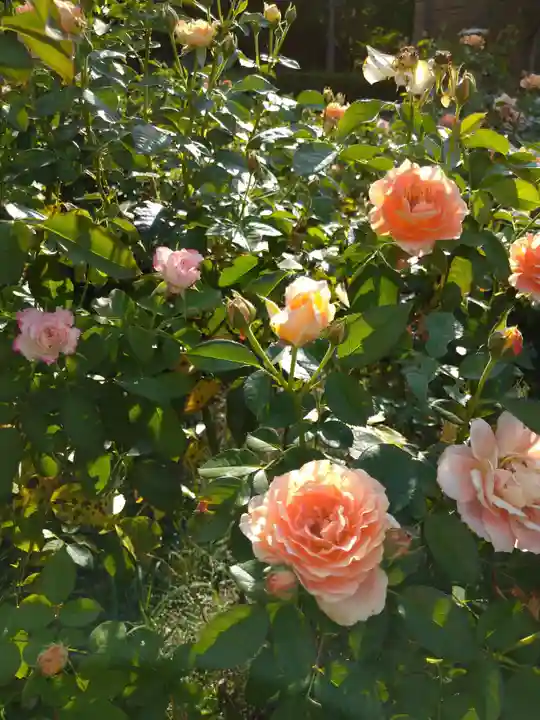 霊山寺(奈良県)