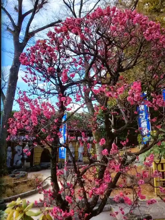 中野沼袋氷川神社(東京都)