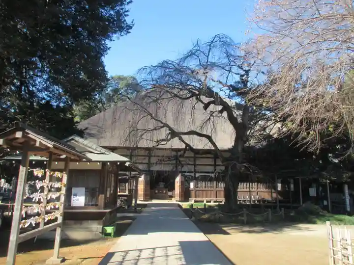 茂林寺の本殿・本堂