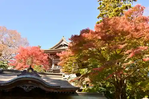 高尾山薬王院(東京都)
