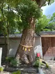 生瀬皇太神社(兵庫県)