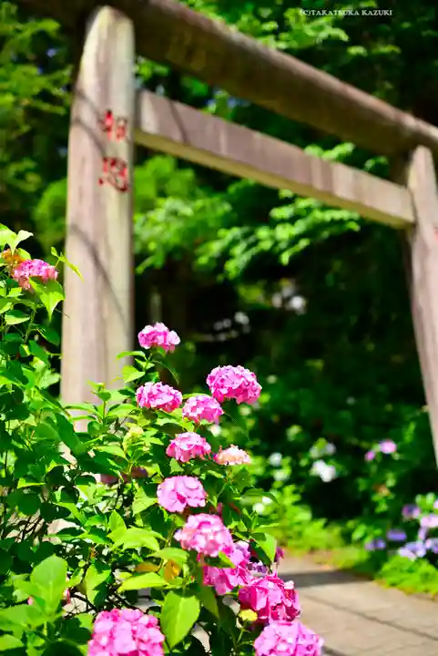 太平山神社(栃木県)