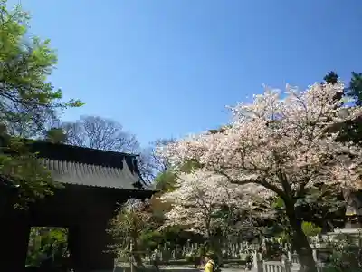 妙本寺の山門・神門