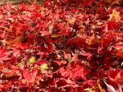 牟禮山観音禅寺の自然