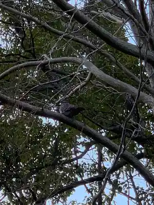 寒川神社のその他建物