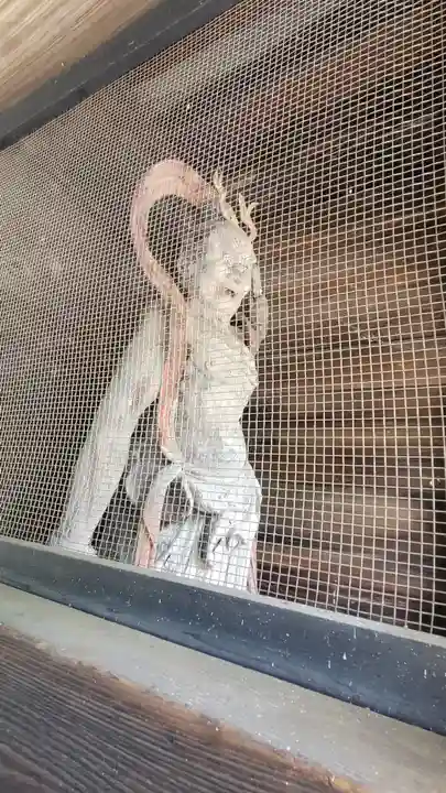 金毘羅寺(愛媛県)