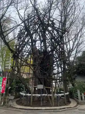 稲毛神社(神奈川県)