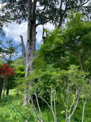 納八幡神社の周辺