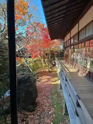 禅林寺（永観堂）の{uncategorized: "未分類", other: "その他", undefined: "問題あり", building: "その他建物", grave: "お墓", sacred_gate: "鳥居", guardian: "狛犬", statue: "像", buddha: "仏像", history: "歴史", nature: "自然", garden: "庭園", animal: "動物", pagoda: "塔", temizu: "手水舎", mountain_gate: "山門・神門", sanctuary: "本殿・本堂", subordinate: "末社・摂社", art: "芸術", scenery: "景色", jizo: "地蔵", ema: "絵馬", goshuin: "御朱印", omikuji: "おみくじ", items: "授与品その他", amulet: "お守り", goshuincho: "御朱印帳", eats: "食事", festival: "お祭り", votive_dance: "神楽", shichigosan: "七五三参", wedding: "結婚式", experience: "体験その他", initially: "初詣", around: "周辺", anti_infection: "感染症対策"}
