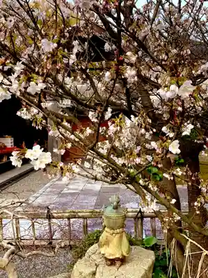 高龍寺(愛媛県)