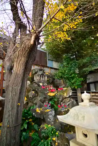 飛木稲荷神社の末社・摂社