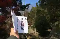 日枝神社の御朱印
