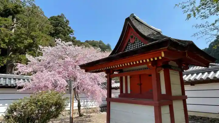 金剛寺(大阪府)