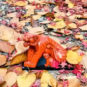 彌彦神社 (伊夜日子神社)の像(2024年11月10日(日) 09時24分10秒投稿)