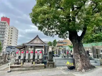 普門寺(神奈川県)