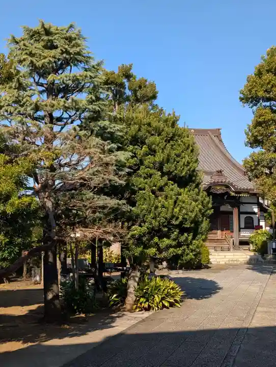 相応寺(神奈川県)