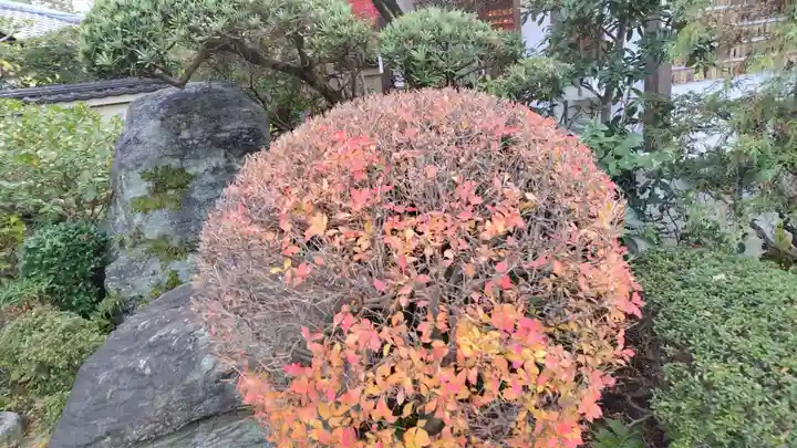 霊源院(京都府)