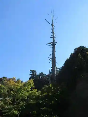 雲龍院の景色