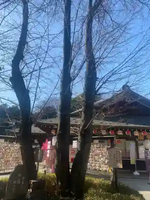 櫻木神社(千葉県)