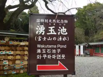 富士山本宮浅間大社(静岡県)
