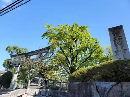 豊国神社のその他建物