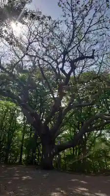 相馬神社(北海道)