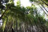 苗代田神社の自然