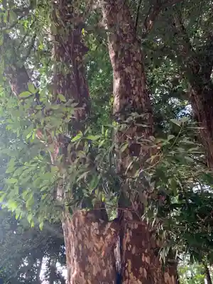 磯部稲村神社(茨城県)