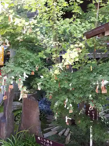 行田八幡神社のおみくじ