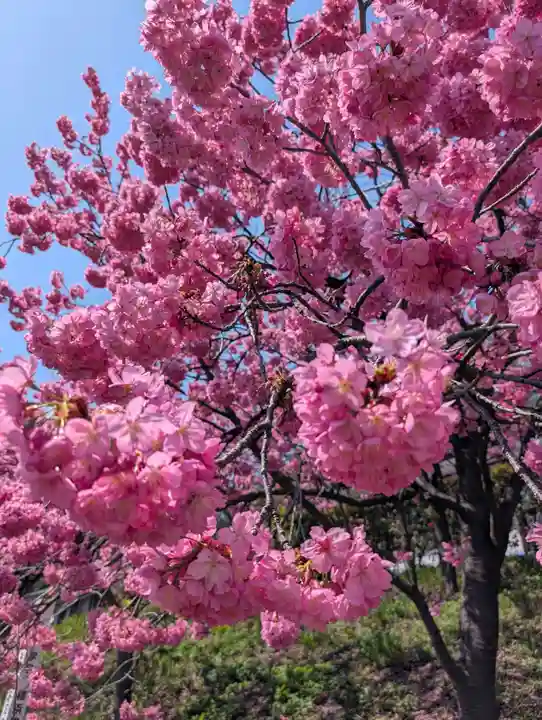 本牧神社(神奈川県)