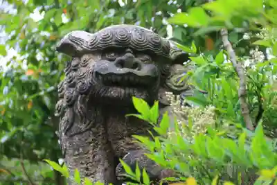 豊景神社の狛犬