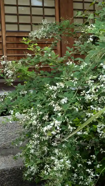 大幸寺(京都府)