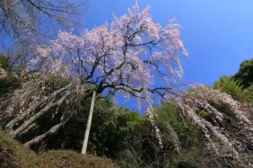 延命寺の庭園