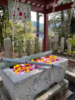 柏原八幡宮の手水舎