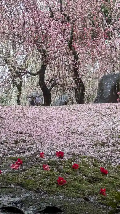 城南宮(京都府)