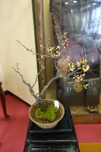 菅原天満宮（菅原神社）の自然