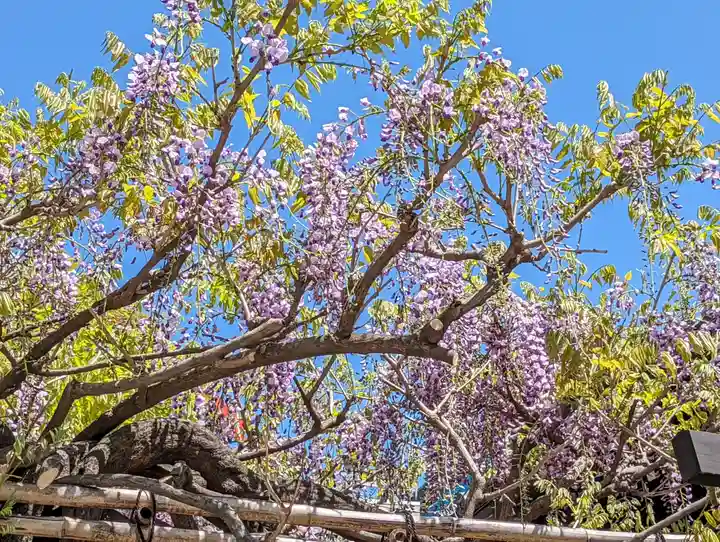 西院春日神社(京都府)