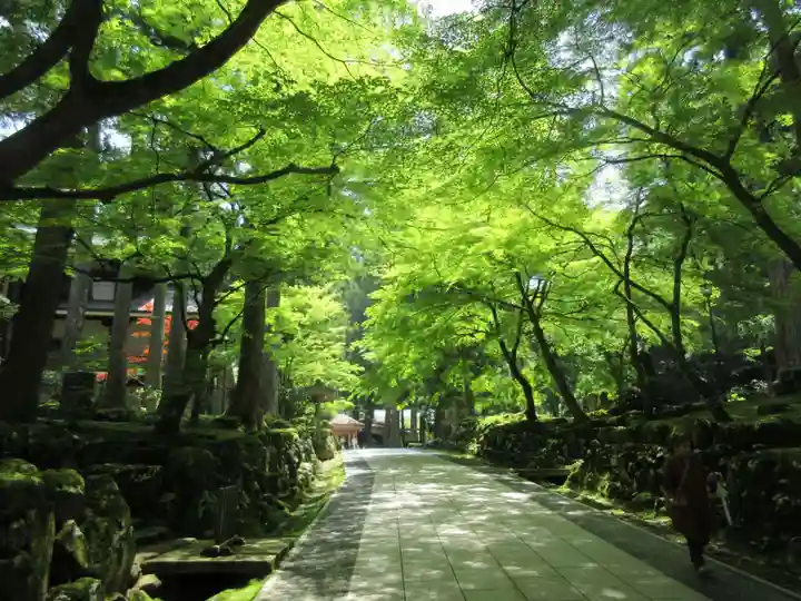 永平寺(福井県)