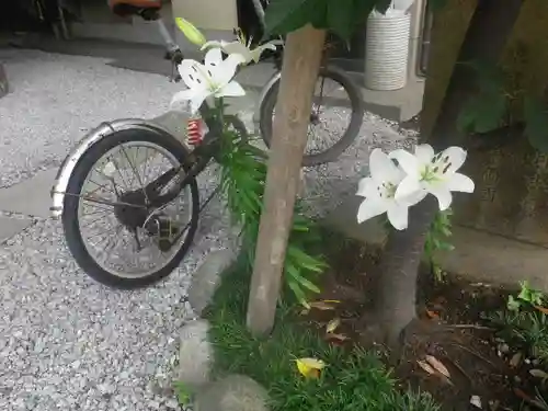 御霊神社のその他建物