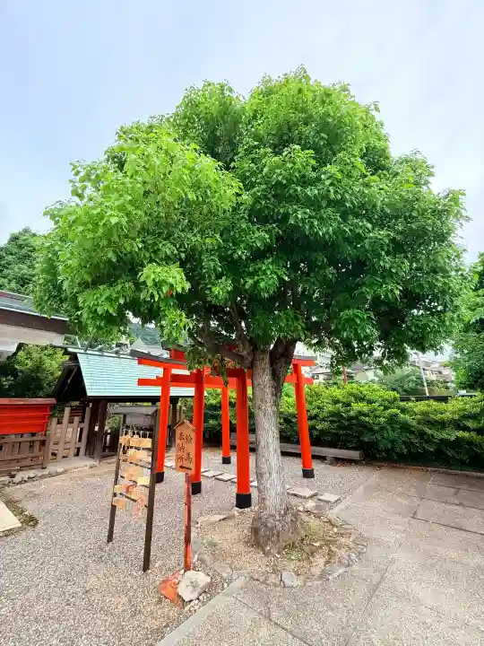 兵庫縣神戸護國神社(兵庫県)