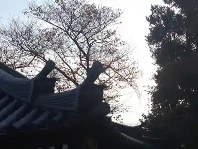 慶元寺のその他建物