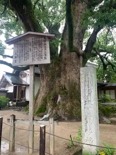 太宰府天満宮の建物その他