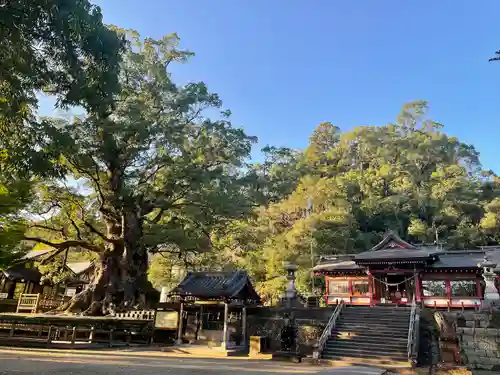 蒲生八幡神社の建物その他