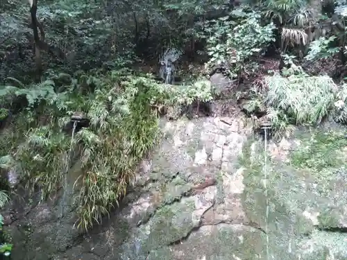 明王院（満願寺別院）の自然