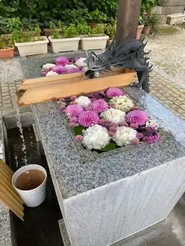 川越八幡宮(埼玉県)