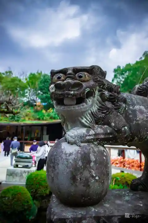 太宰府天満宮の狛犬