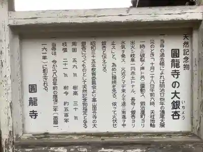 圓竜寺の御朱印