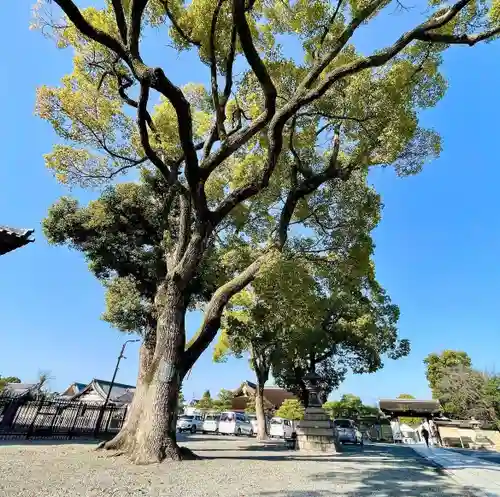 東寺（教王護国寺）(京都府)